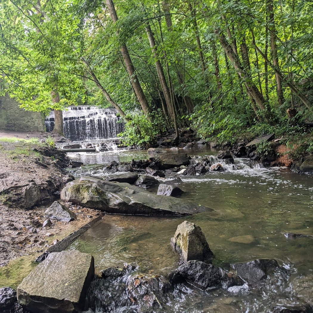 Randonnée Vaux de Cernay et ses cascades 2